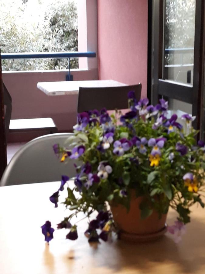 Apartament Il Ciclamino Monopoli Zewnętrze zdjęcie