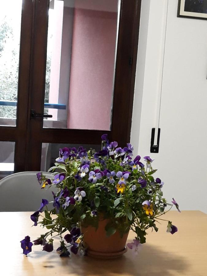Apartament Il Ciclamino Monopoli Zewnętrze zdjęcie